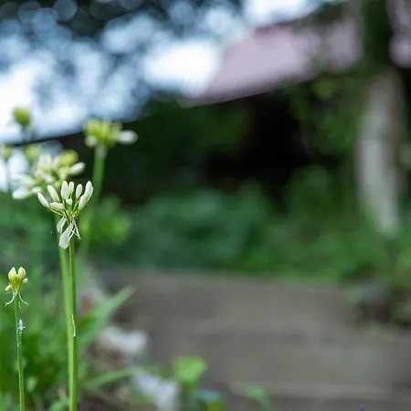 森の糸島 - Morino Itosima Villa Nishinoura Exterior photo